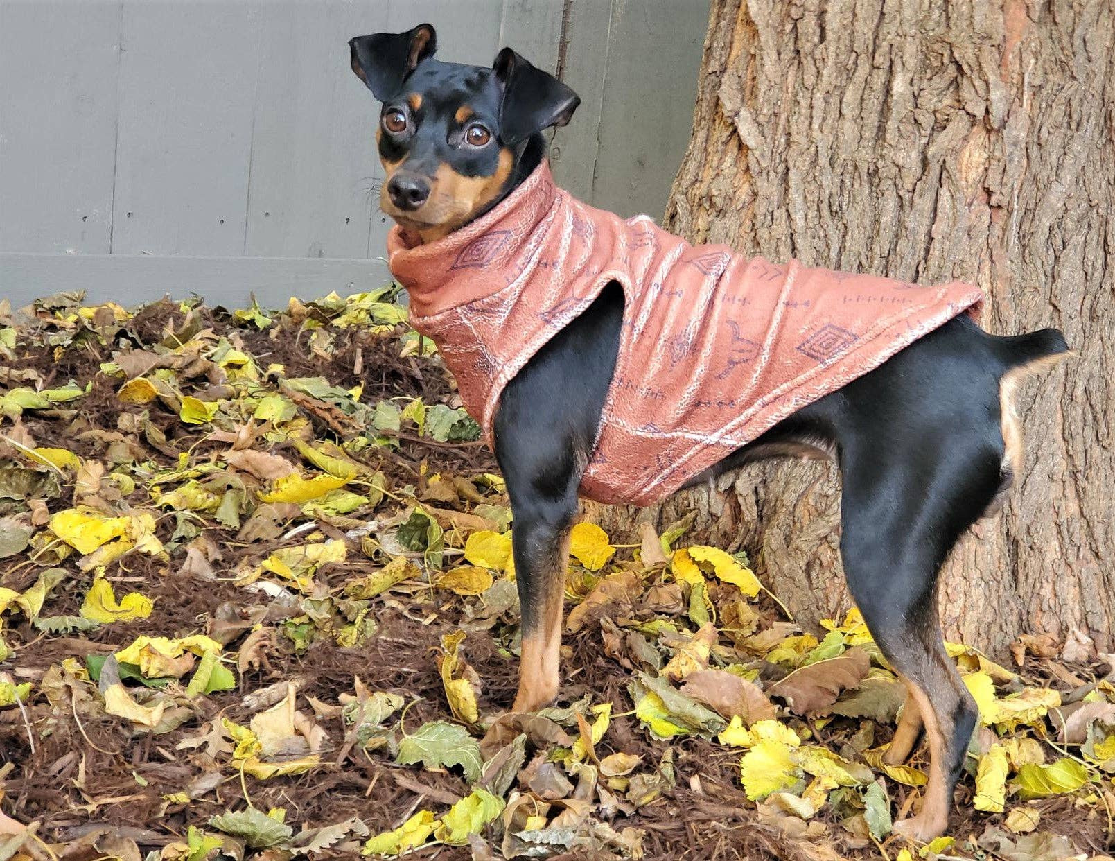 Dog Fleece | Distressed Wild West