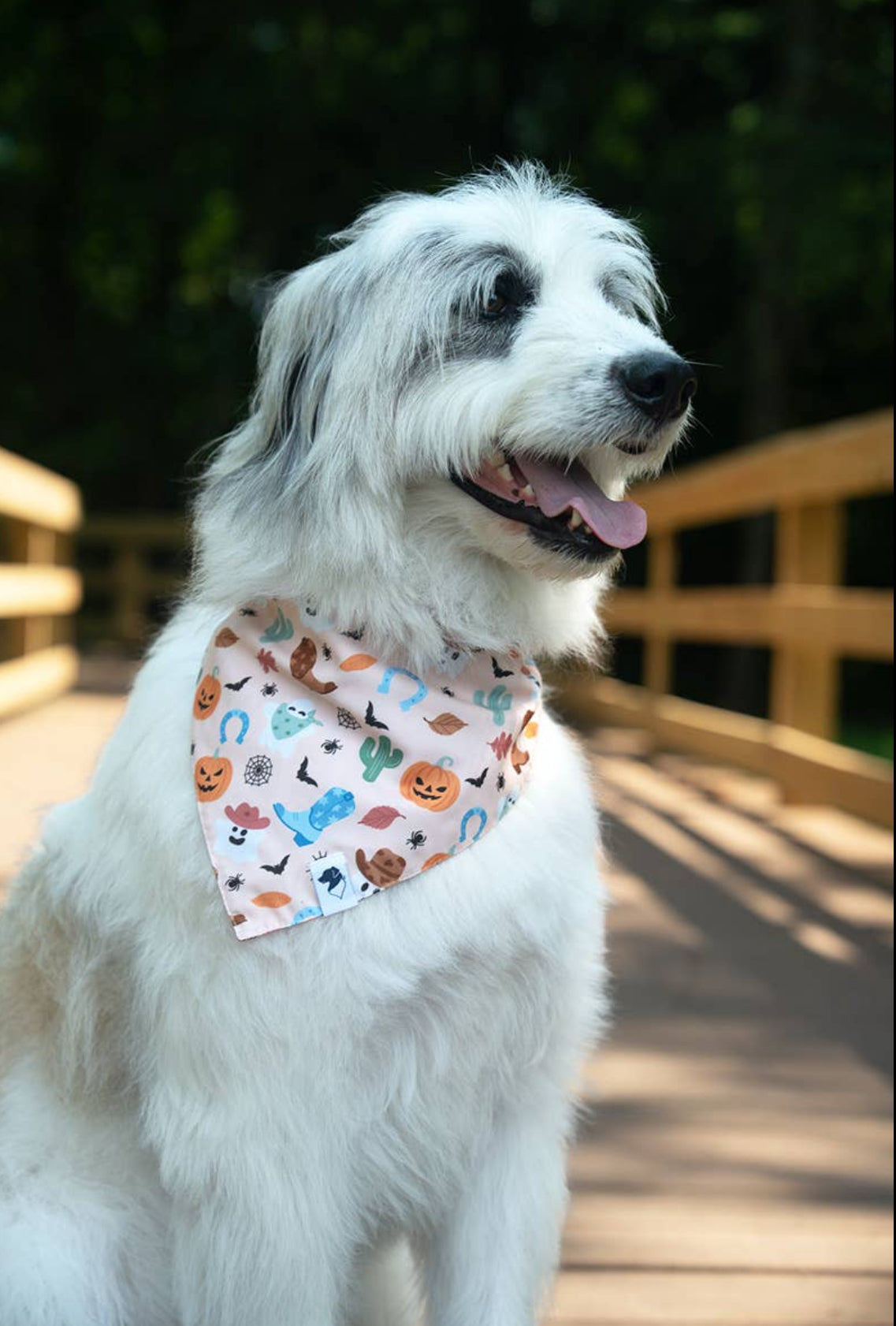 It's Fall Y'all! Dog Bandana