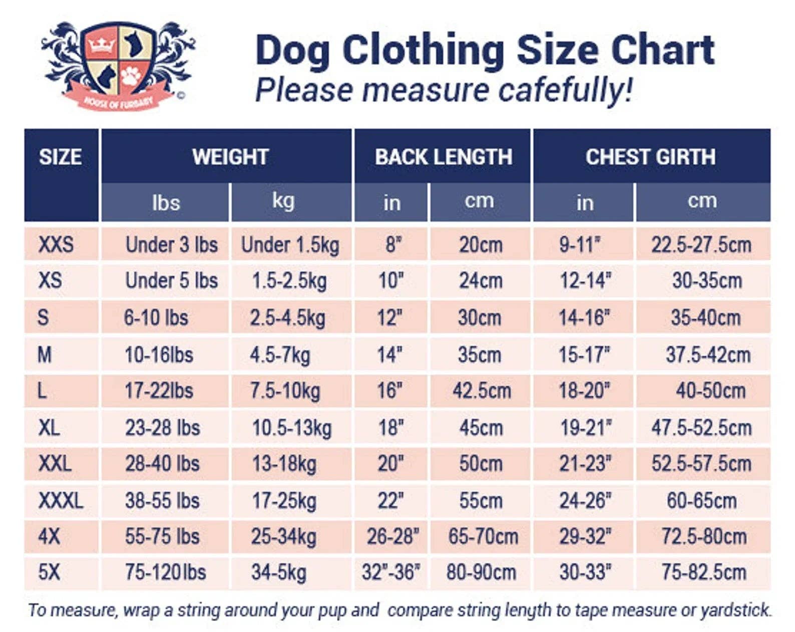 Halloween Dog Shirt | Boot Scootin' Spooky